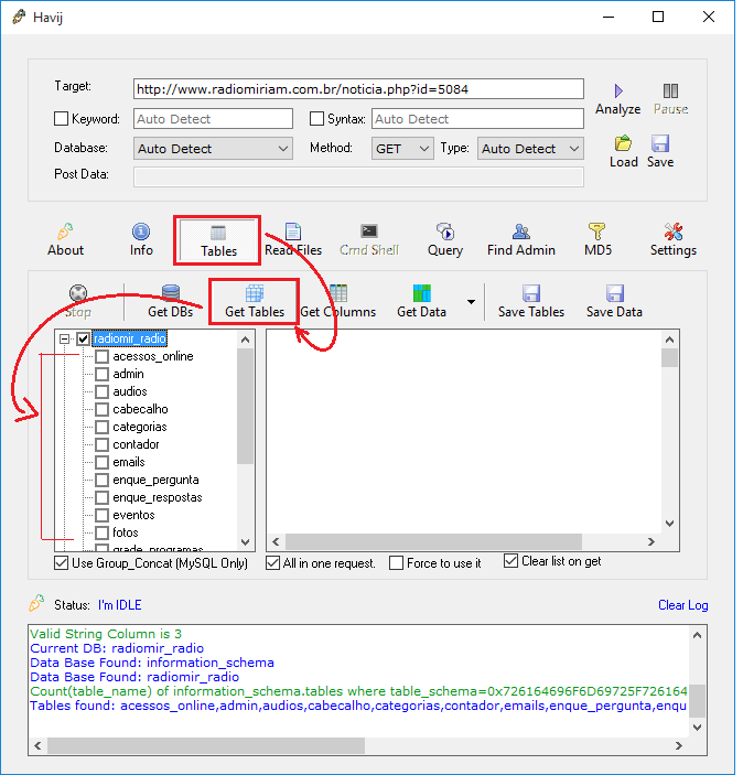 Havij Fetching Database Tables