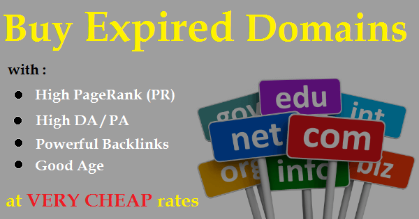 Expired Domains Cheap Rates