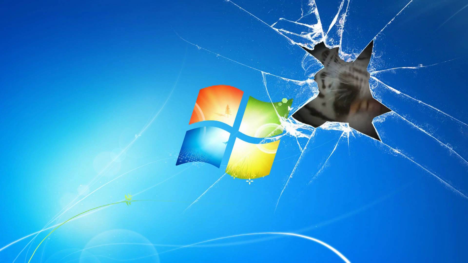 Windows 10 Wallpaper Animated - Supportive Guru