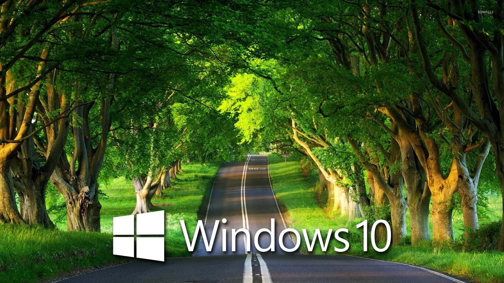 fresh download windows 10