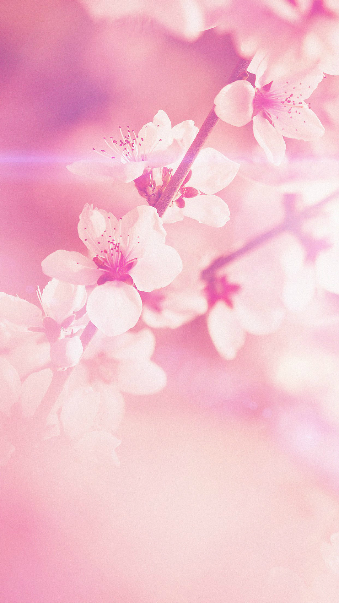 light pink wallpaper for iphone