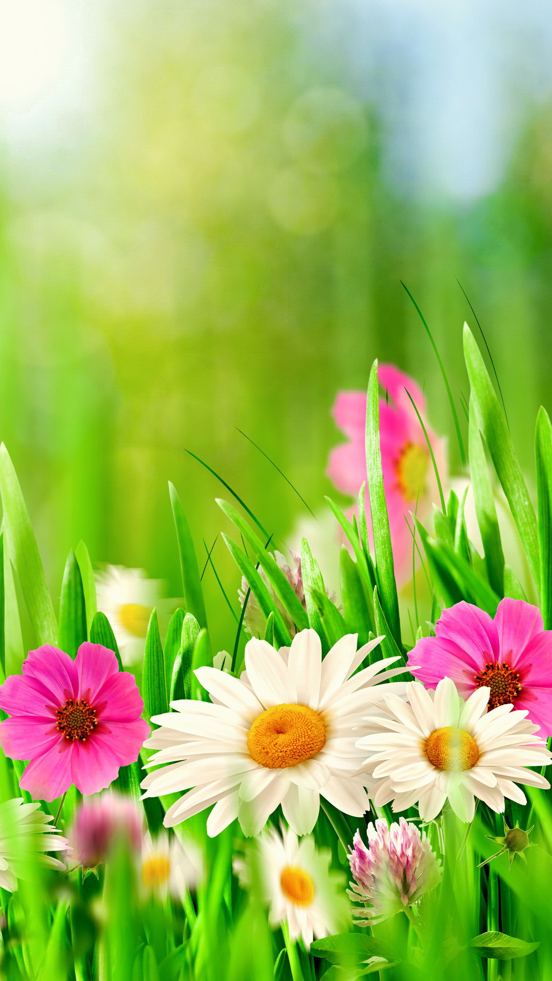 Spring flowers iPhone Wallpapers