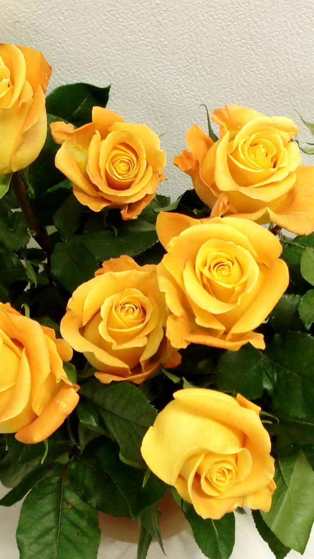 Rose Wallpaper rose yellow flower vase elegant 32172 1080x1920