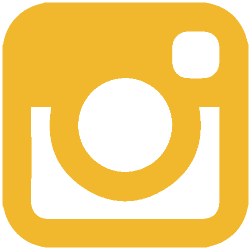 500+ Instagram Logo, Icon, Instagram GIF, Transparent PNG ...