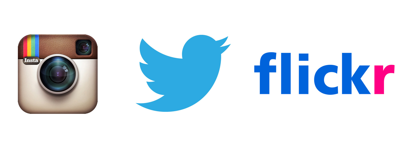 500 Twitter LOGO Latest Twitter Logo Icon GIF 