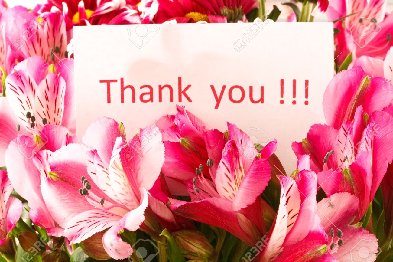 11067946-brief-thank-you-on-the-background-of-a-flower - Supportive Guru