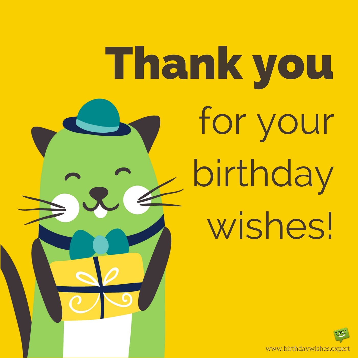 Cute Thank You For Your Birthday Wishes Message On Image With Funny