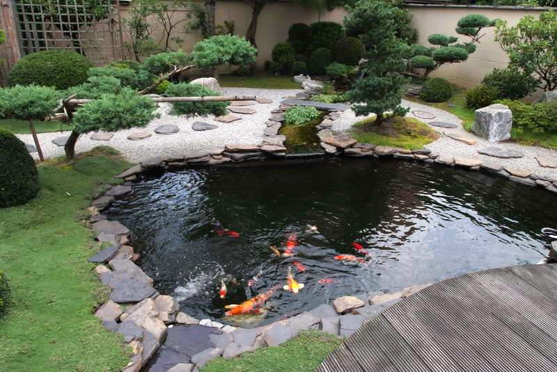 Decorative Fishpond