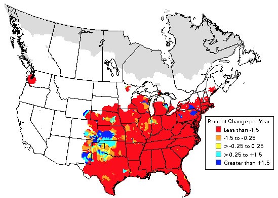 Quail Hunting: Get the Kids Involved in Hunting – Supportive Guru