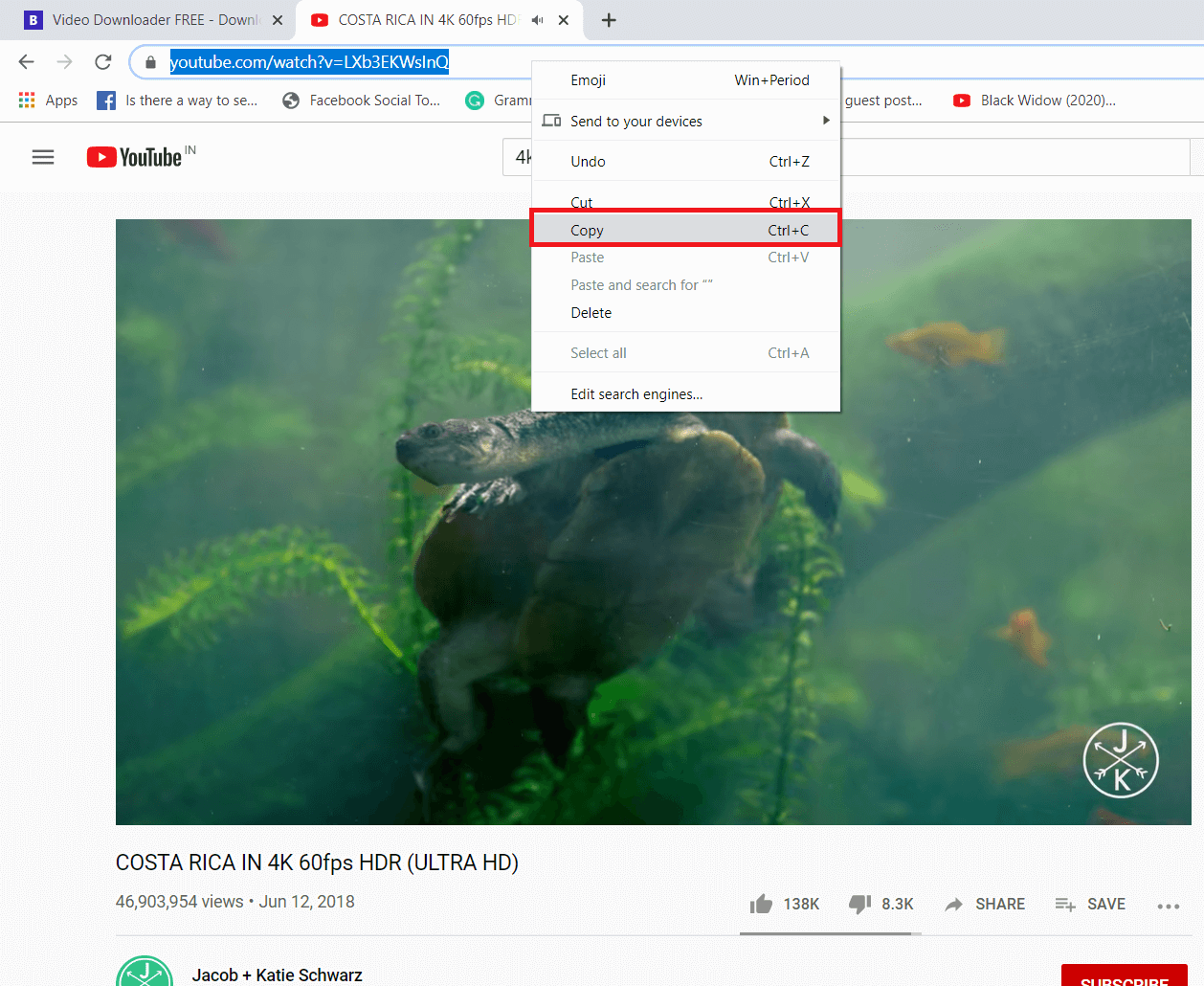 Download YouTube Videos in Highest Resolution with BitDownloader