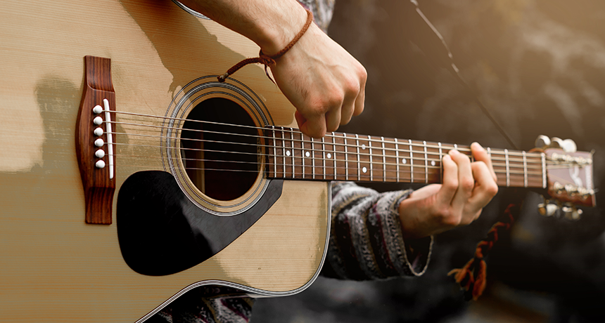 Guitarist