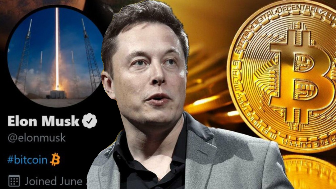 Elon Musk Bitcoins Dogecoin Crypto