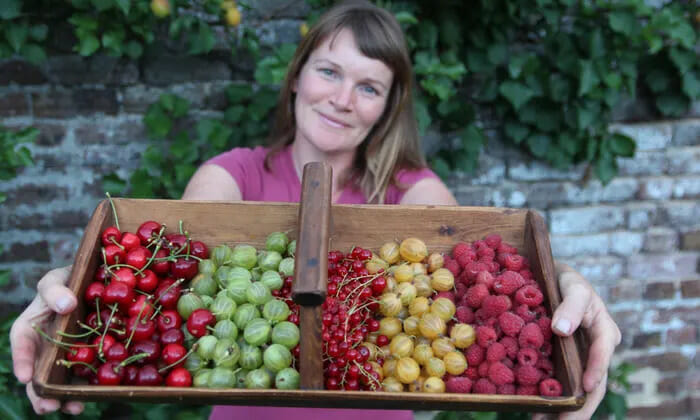 fruits to grow in uk garden