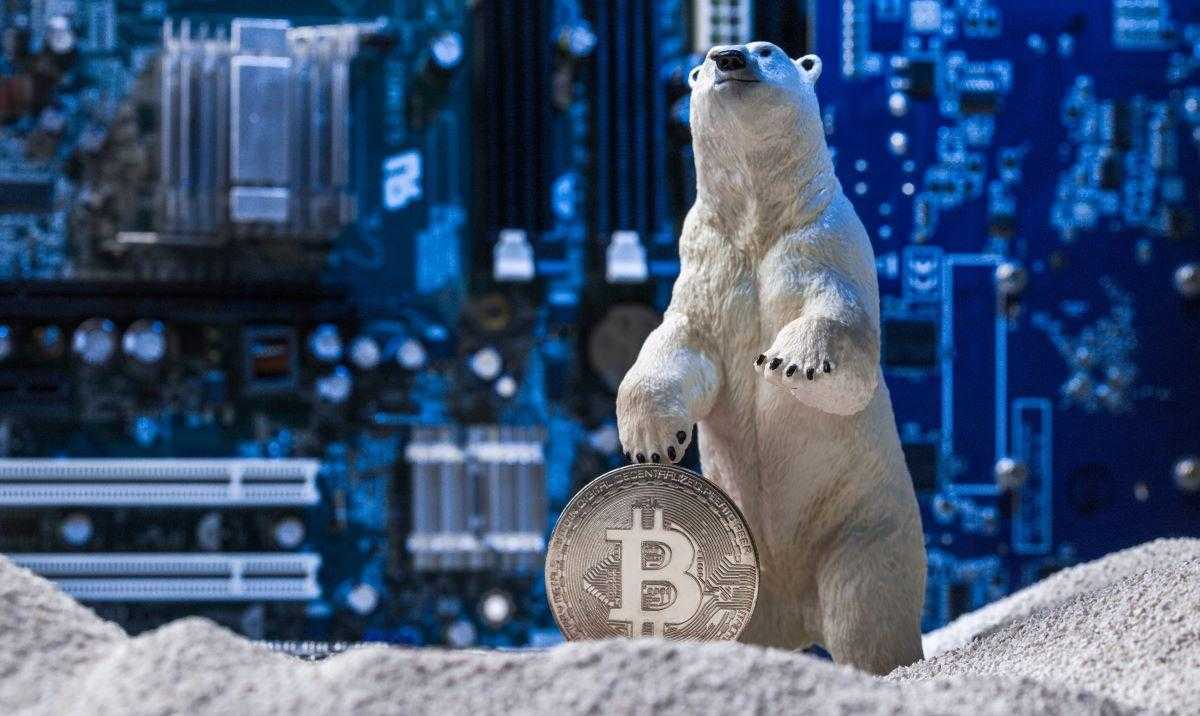 Everything To Know About Crypto Winter Supportive Guru
