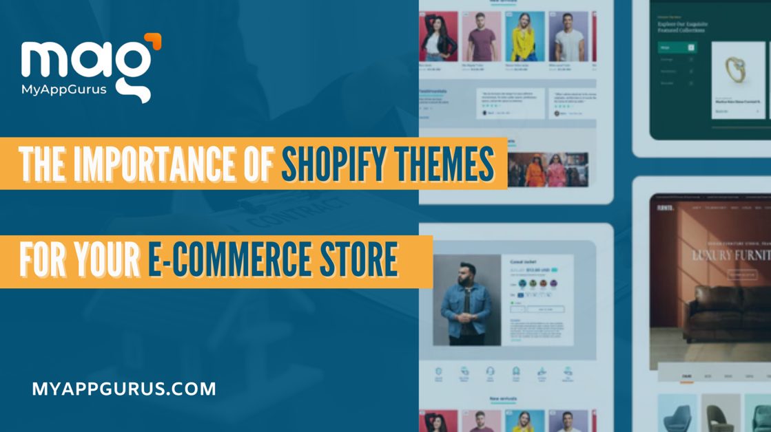 Shopify Theme