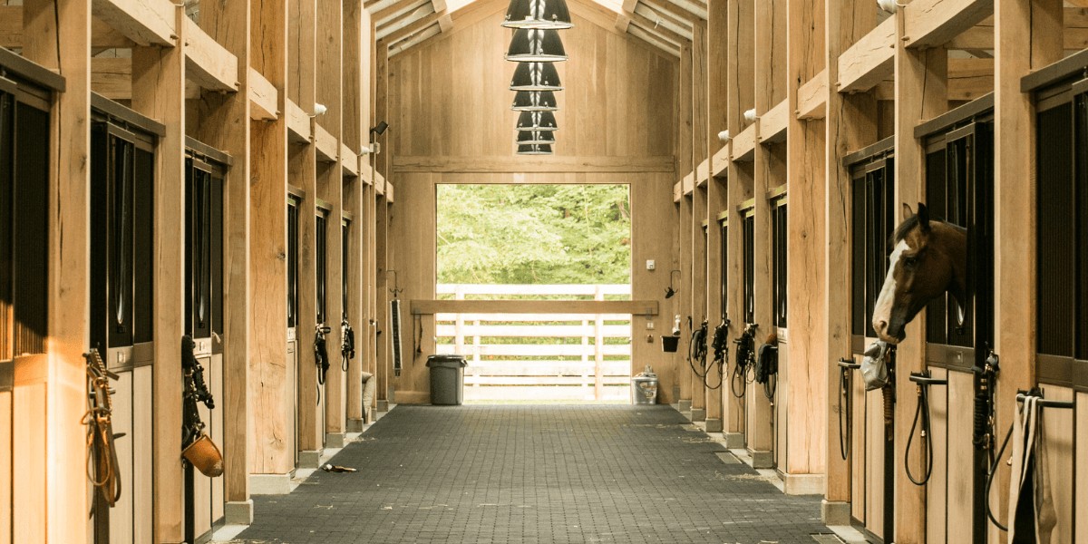 Horse Barns